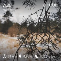 fitbitshare_1648726212.webp
