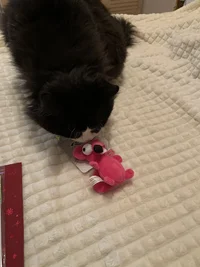 F69ACC90-A97E-442F-AC15-5E2FDF066DED.webp F69ACC90-A97E-442F-AC15-5E2FDF066DED.webp