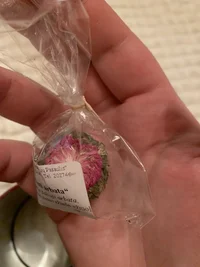 90B0E988-B990-4E9A-8B52-5DB1FB2382A1.webp 90B0E988-B990-4E9A-8B52-5DB1FB2382A1.webp