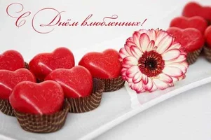 951384932fa29f1f19aa4034a45289e9_569.webp 951384932fa29f1f19aa4034a45289e9_569.webp