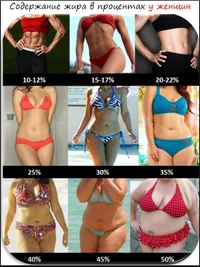 Нормы жира у женщин.webp
