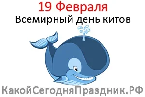 vsemirnyj-den-kitov.webp
