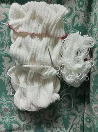 IMG_20220123_155401_524.webp