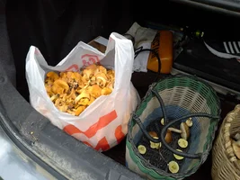 20190827_164817.webp 20190827_164817.webp