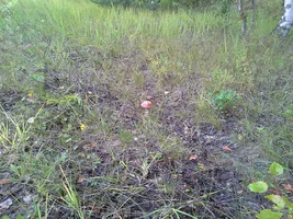 20190810_182638.webp 20190810_182638.webp