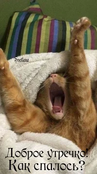 6ebff52814dbfa70448201bcdf3397dc.webp 6ebff52814dbfa70448201bcdf3397dc.webp