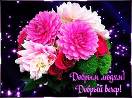 2022-01-24-21-27-10.webp 2022-01-24-21-27-10.webp