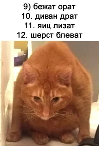 1643207249.webp