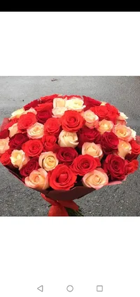 Screenshot_20220126_191419_ru.yandex.searchplugin.webp