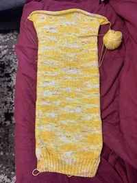 444CE251-DE07-408D-B353-0077D5184656.webp 444CE251-DE07-408D-B353-0077D5184656.webp