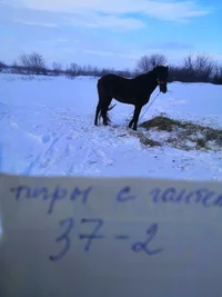 IMG_20220201_110937.webp IMG_20220201_110937.webp