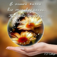 1643777146796.png