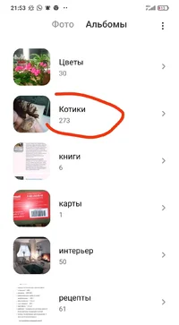 IMG_20220202_215426.webp IMG_20220202_215426.webp