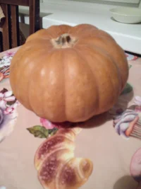 IMG_20220203_172819_967.webp IMG_20220203_172819_967.webp