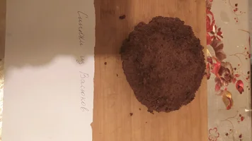 IMG_20220207_205959.webp IMG_20220207_205959.webp