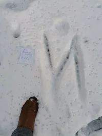 IMG_20220209_130954 (1).webp