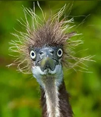 2022-02-11-11-17-16.webp 2022-02-11-11-17-16.webp