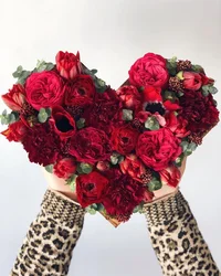 aDSxWn-ooTk.webp aDSxWn-ooTk.webp