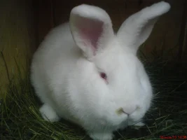 2022-02-16-19-14-22.webp 2022-02-16-19-14-22.webp