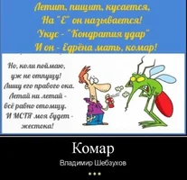 КОМАР-ЭТОТ.webp