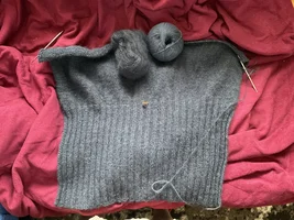 A0136252-F864-42B6-9F55-DCF2C956D40C.webp A0136252-F864-42B6-9F55-DCF2C956D40C.webp