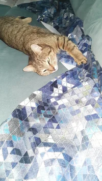 IMG-b2ad42b655d3346e27f29cc25c20cb0e-V.webp IMG-b2ad42b655d3346e27f29cc25c20cb0e-V.webp