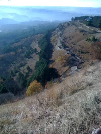 upload_2016-3-1_22-50-28.webp upload_2016-3-1_22-50-28.webp