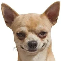 E_VA-WkSDZw.webp E_VA-WkSDZw.webp