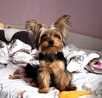 Screenshot_2022-03-08-12-15-36-004_com.alensw.PicFolder~01.webp Screenshot_2022-03-08-12-15-36-004_com.alensw.PicFolder~01.webp