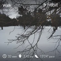 fitbitshare_1848762895.webp fitbitshare_1848762895.webp