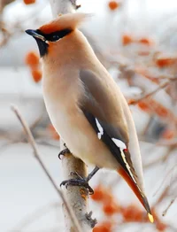 Screenshot_20220310-192648_Google.webp Screenshot_20220310-192648_Google.webp