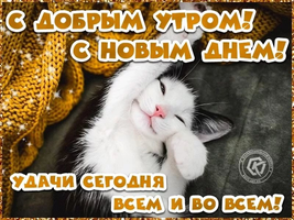 1646972339853.png