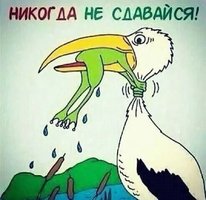 14-50-18-picture.jpg
