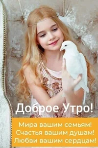 IMG-20220316-WA0002.webp IMG-20220316-WA0002.webp