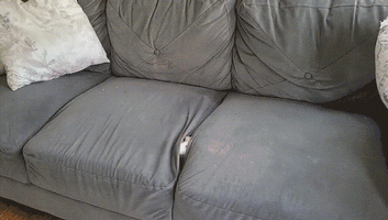 1640006300147150242.gif