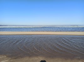 IMG_20210418_092206.jpg