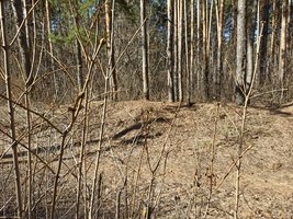 IMG_20210418_093449.jpg