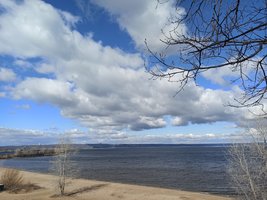 IMG_20210425_092616.jpg