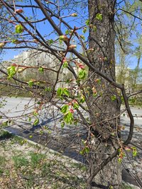 IMG_20210508_111830.jpg