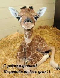 изображение_2022-03-19_074912.png