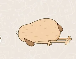 Screenshot_2022-03-22-00-15-07-598_com.whatsapp~01.webp Screenshot_2022-03-22-00-15-07-598_com.whatsapp~01.webp