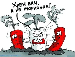 анекдот-про-морковку.webp