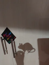 20220325_222318.webp 20220325_222318.webp