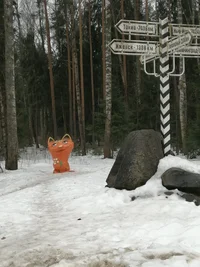 IMG_20220326_110913.jpg IMG_20220326_110913.jpg