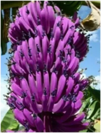 1648400791951.png 1648400791951.png