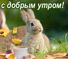 1648527878511.png