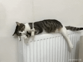 Скукота.gif Скукота.gif