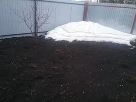 20220404_085305.webp 20220404_085305.webp