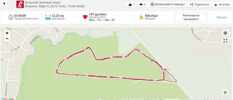 08 мар Лыжи 12,25 км (маршрут).webp