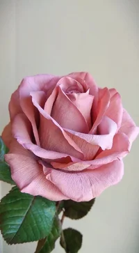 3418d2cef49f9aba57a3c2ddc9c623af.jpg 3418d2cef49f9aba57a3c2ddc9c623af.jpg